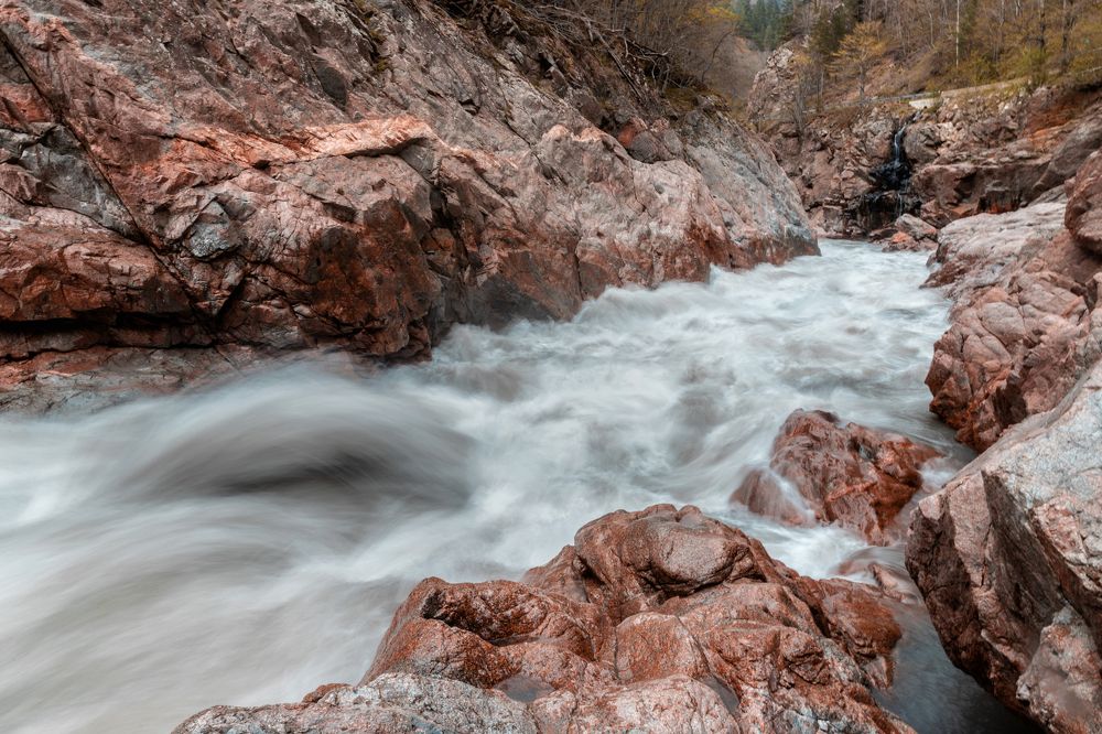 Photograph by EKATERINA WALTER