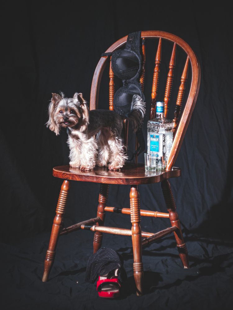 Фотография автора Антон Сандалов