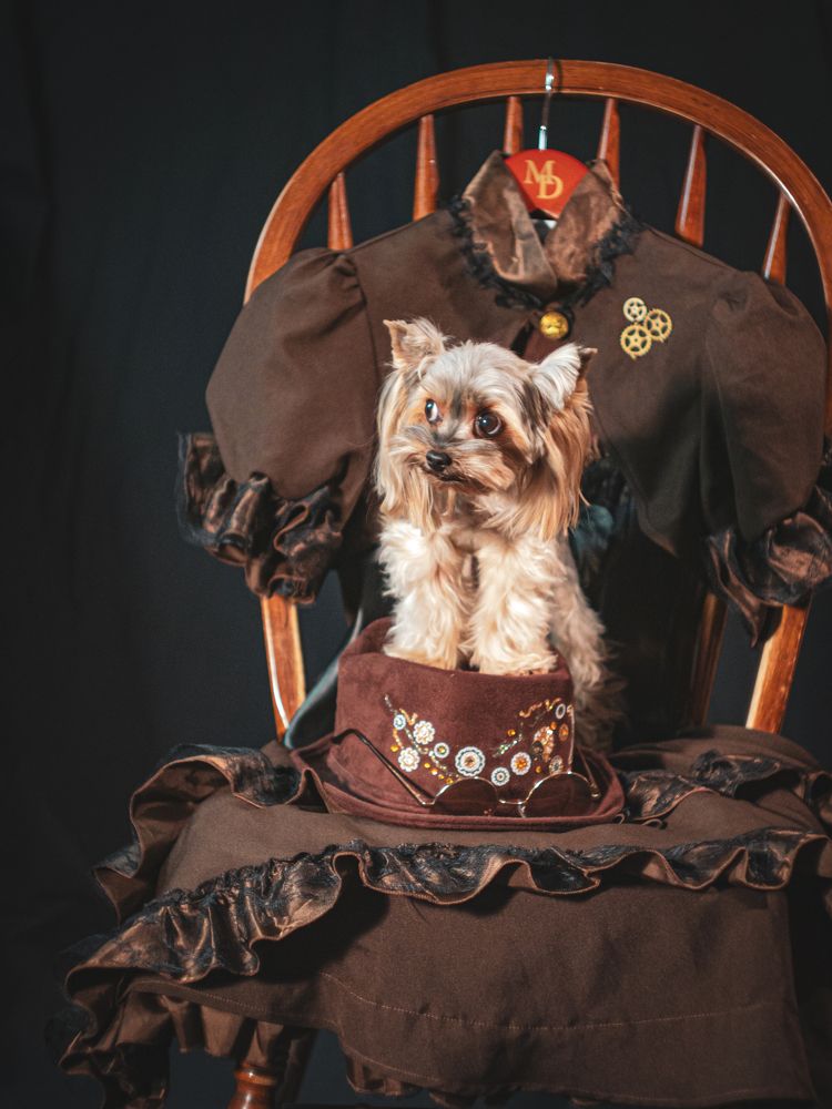 Фотография автора Антон Сандалов