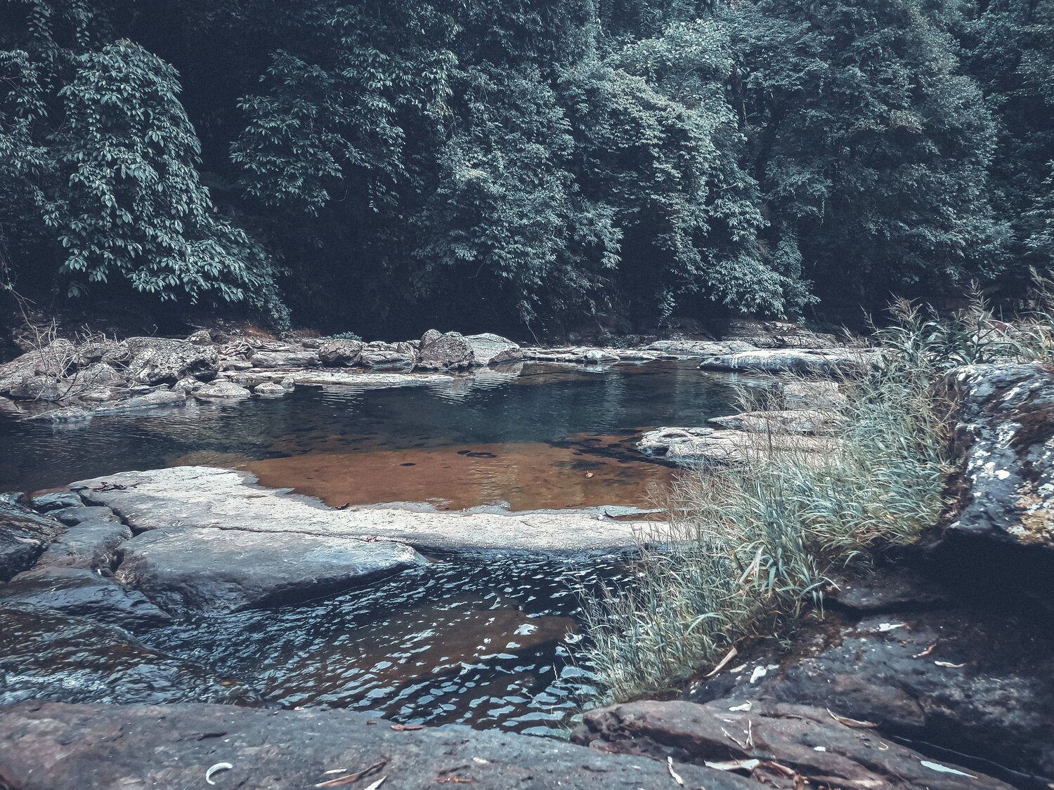 Photo #6160519
