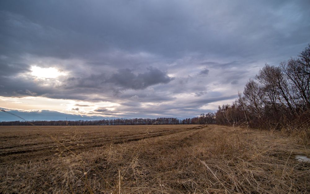 Фотография автора Антон Сандалов