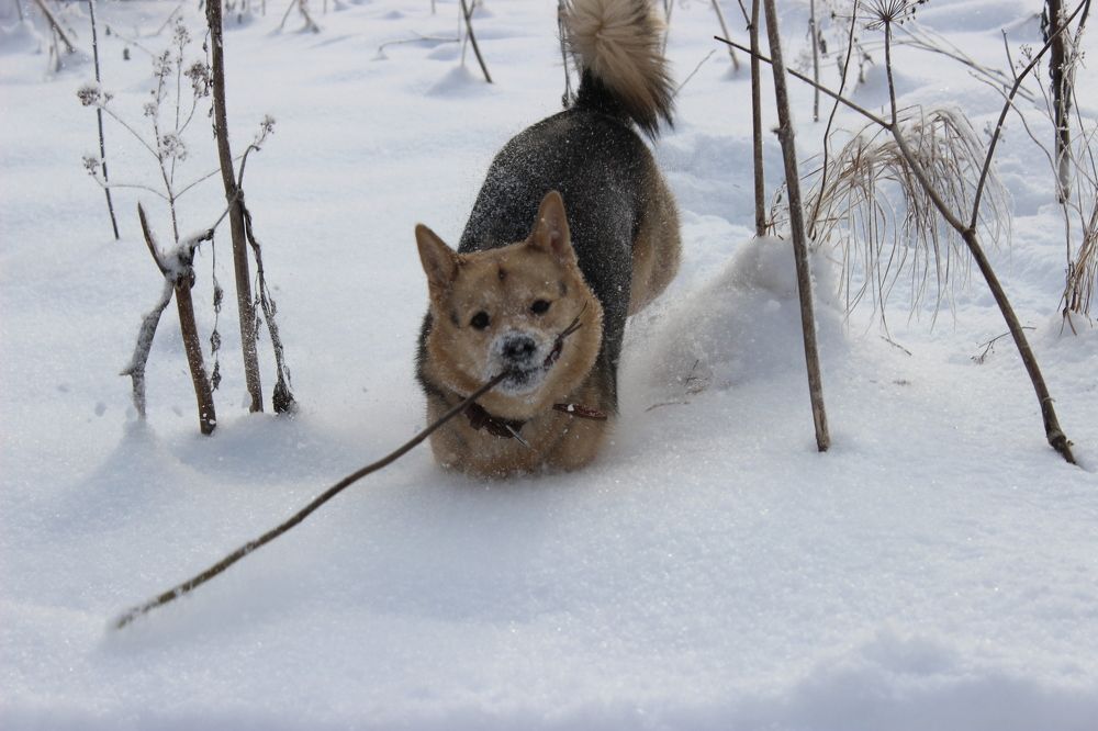 Photograph by Екатерина Апрелева