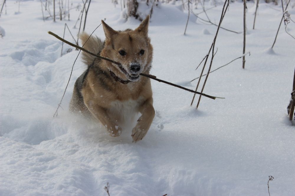 Photograph by Екатерина Апрелева