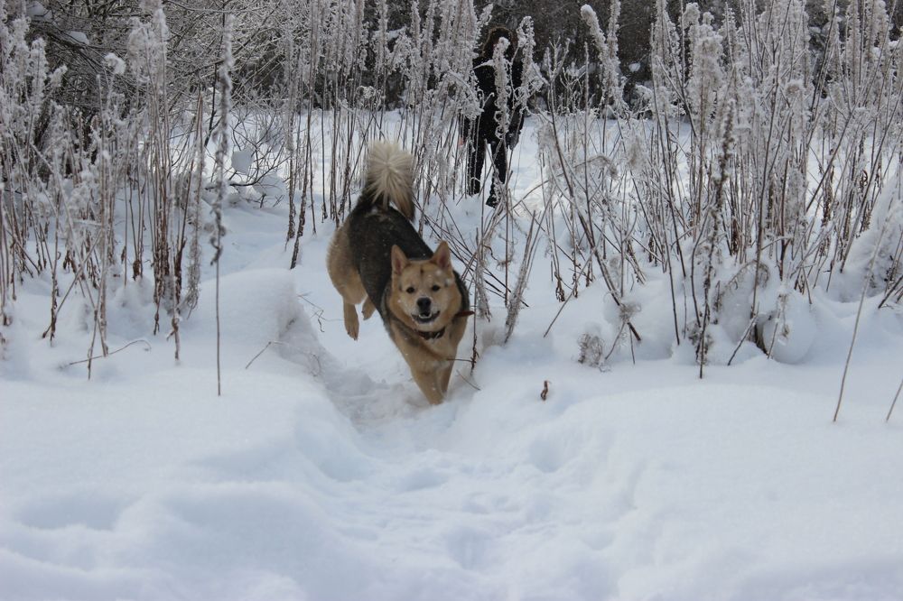 Photograph by Екатерина Апрелева