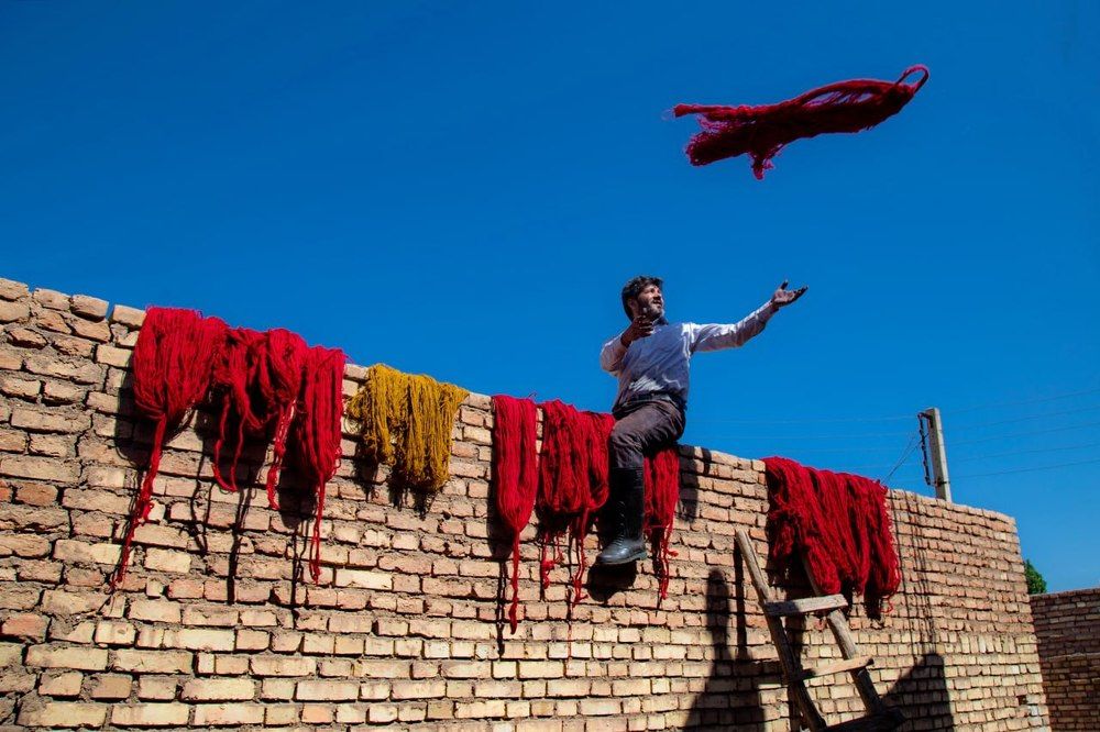 Photograph by mohammadreza behmaram