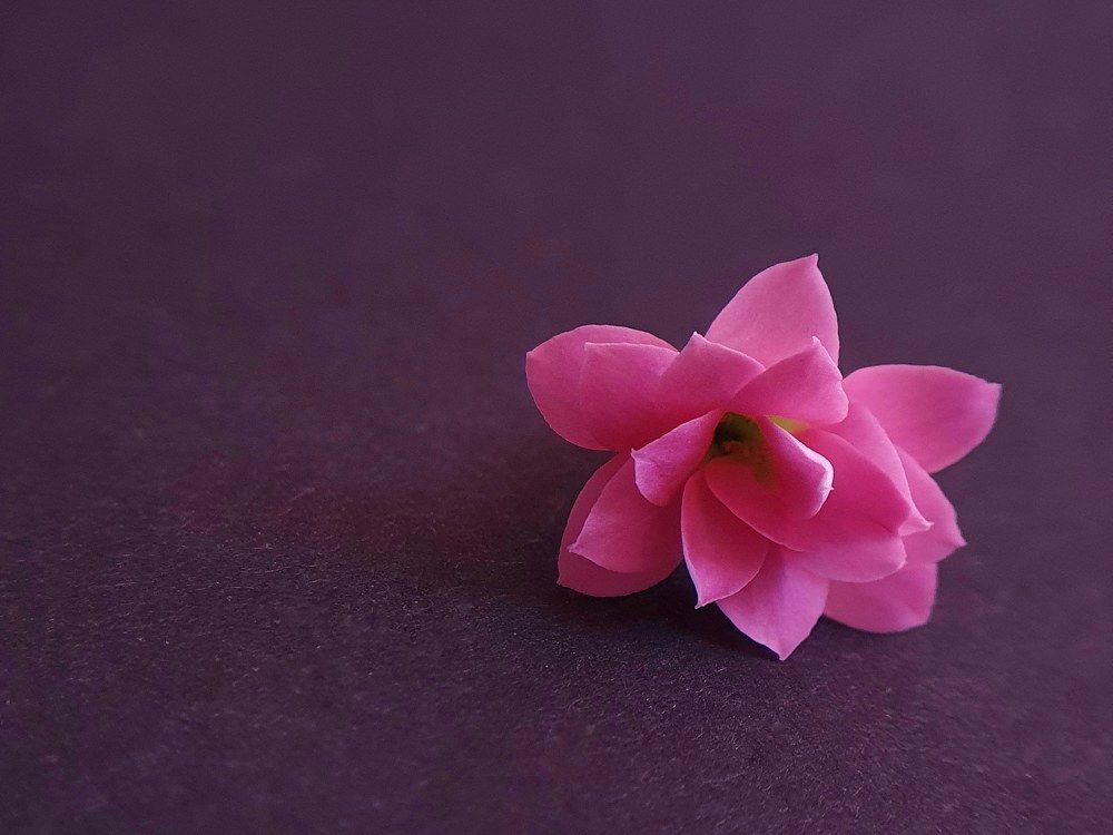 Photograph by Татьяна Мельникова