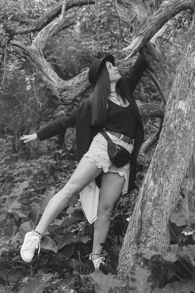 волшебное дерево