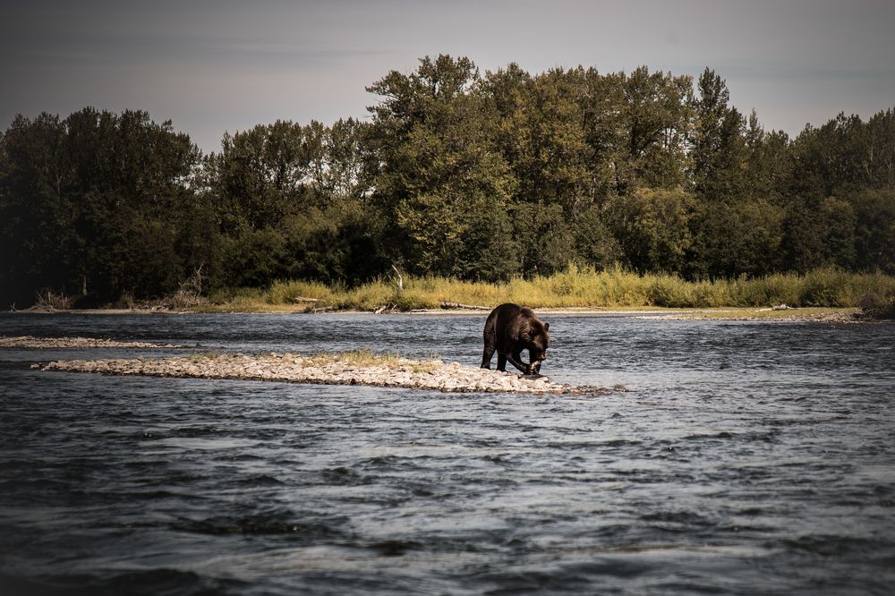 Photograph by Veronika Trubnikova