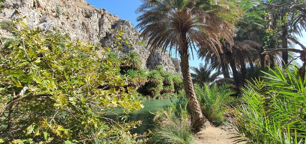 Photograph by jane nielsen