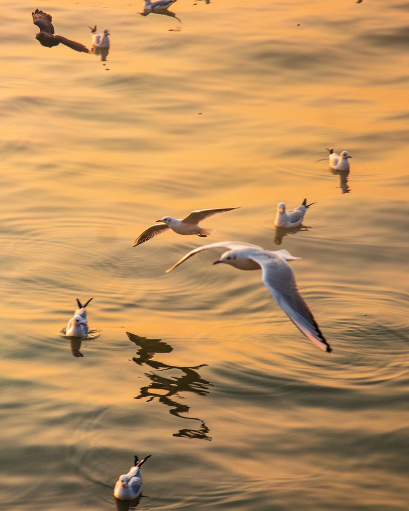 Photograph by Saurabh Parange