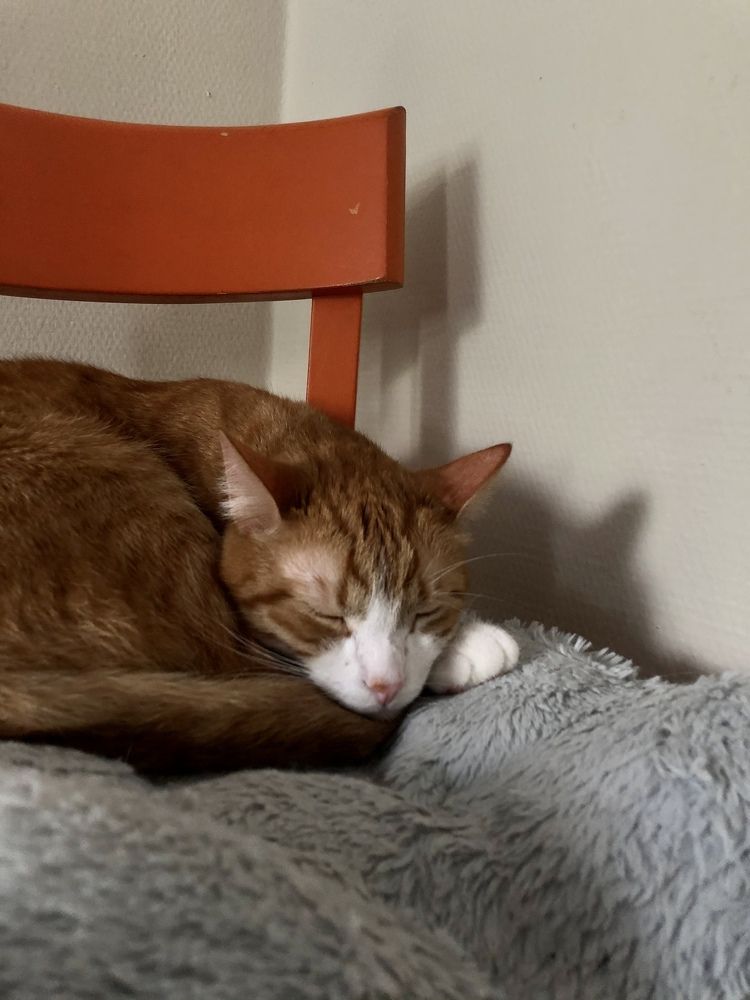 Фотография автора Наталья Васько -Черданцева