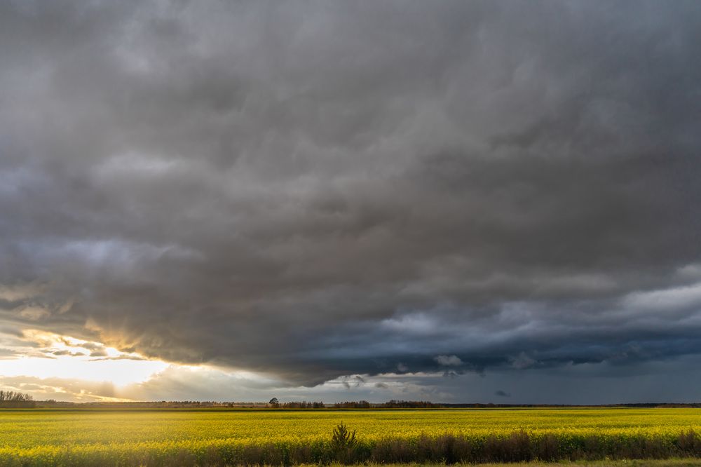 Енисейский тракт. Сибирь.