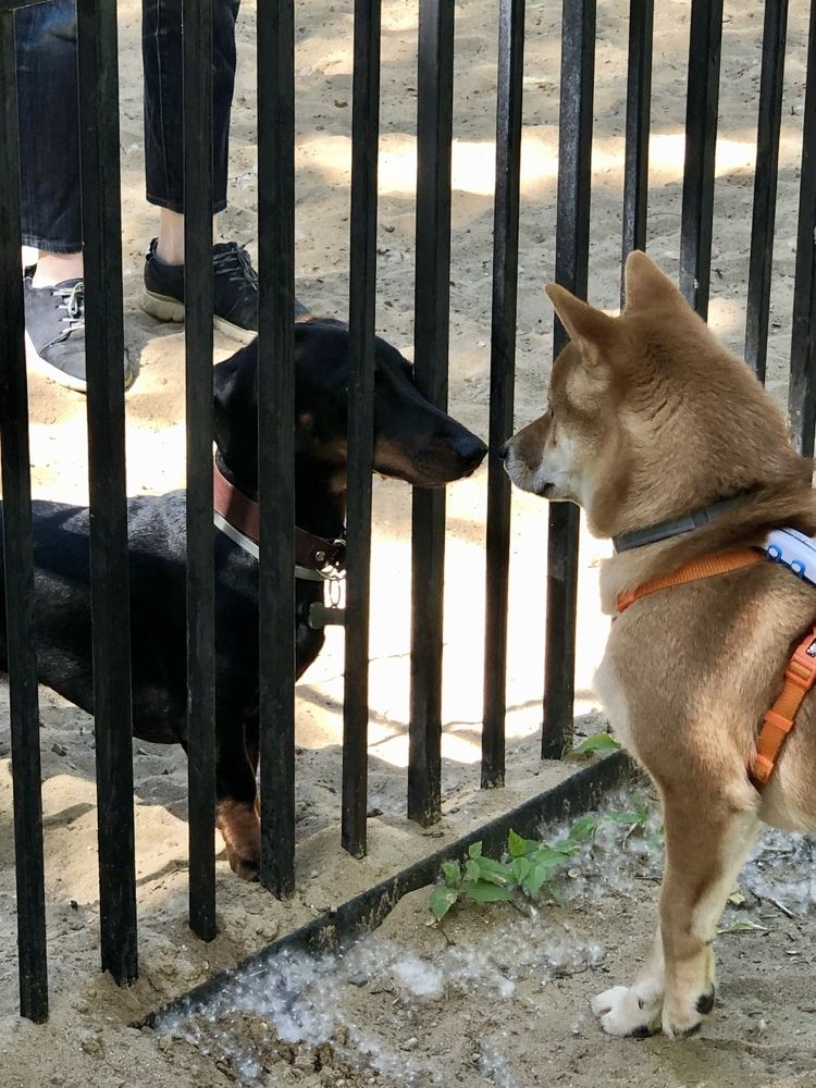 Фотография автора Наталья Васько -Черданцева