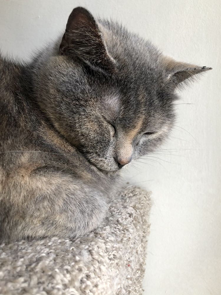 Фотография автора Наталья Васько -Черданцева