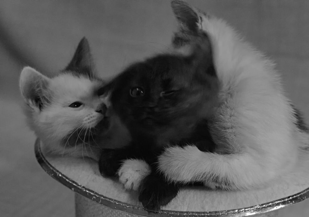 The sisters ' heart-to-heart conversation