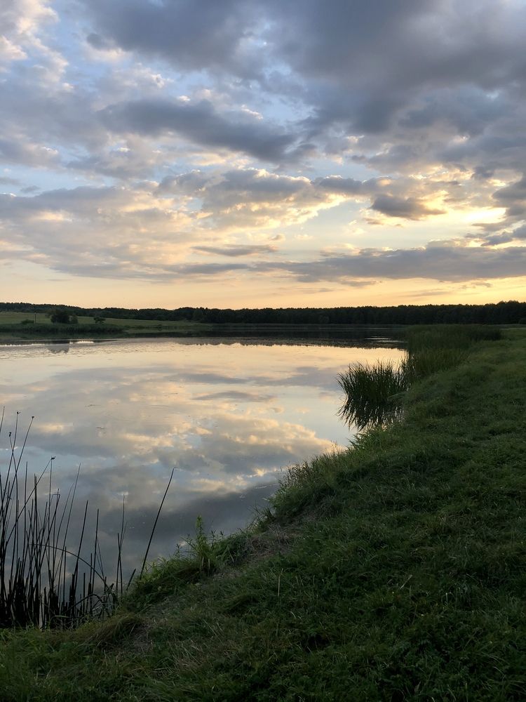 Фотография автора Наталья Васько -Черданцева