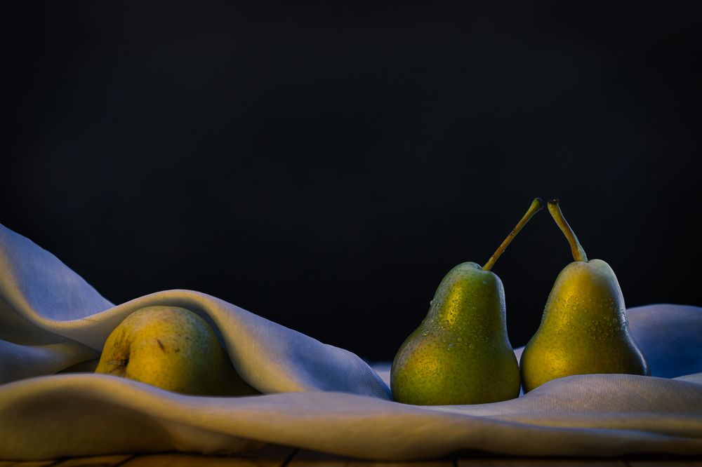 Photograph by Reza Davani