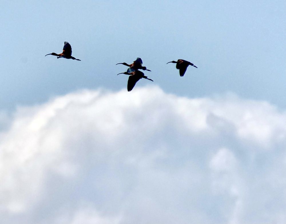 Photograph by Alex Richtarich