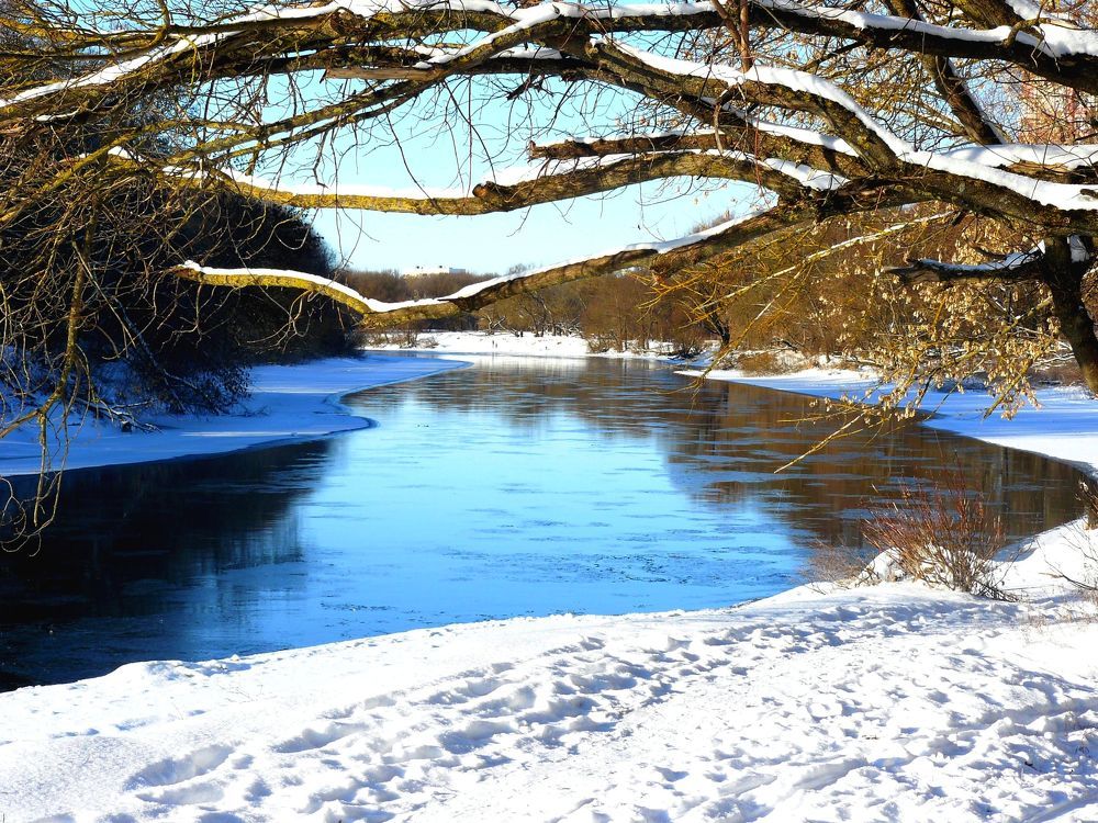 Photograph by леонид натапов