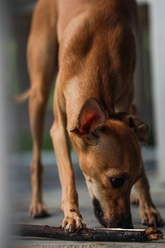 Photograph by Konstantin Morozov