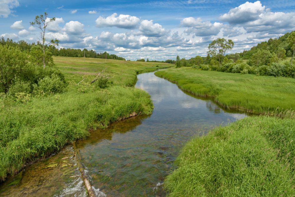 Река Вруда. Ленинградская область.