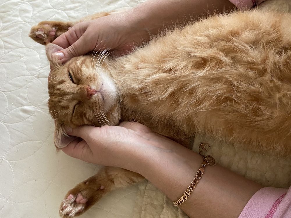 Photograph by Сергей Челахов