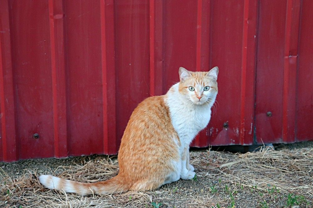 Photograph by Татьяна Котельникова