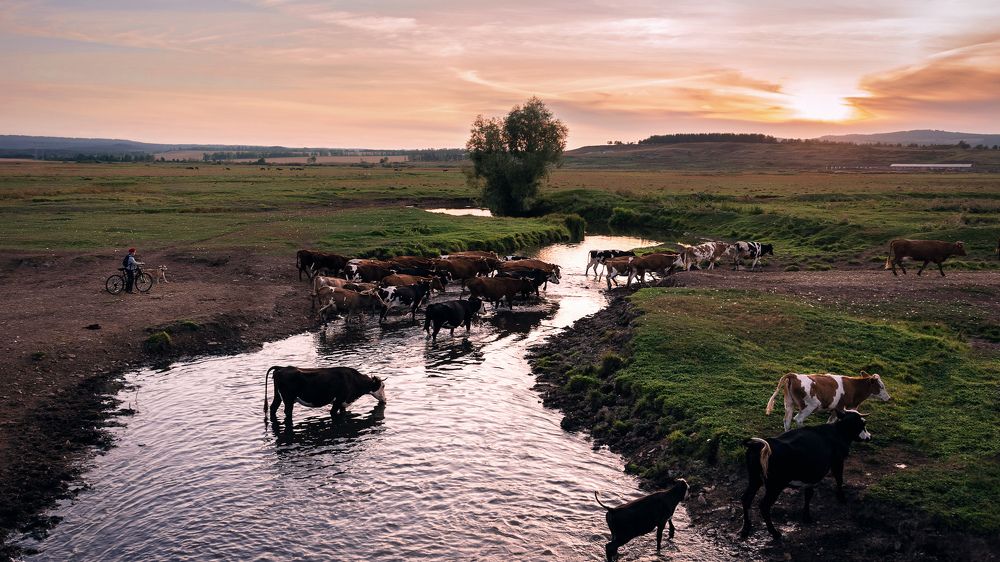 Уходящий день...