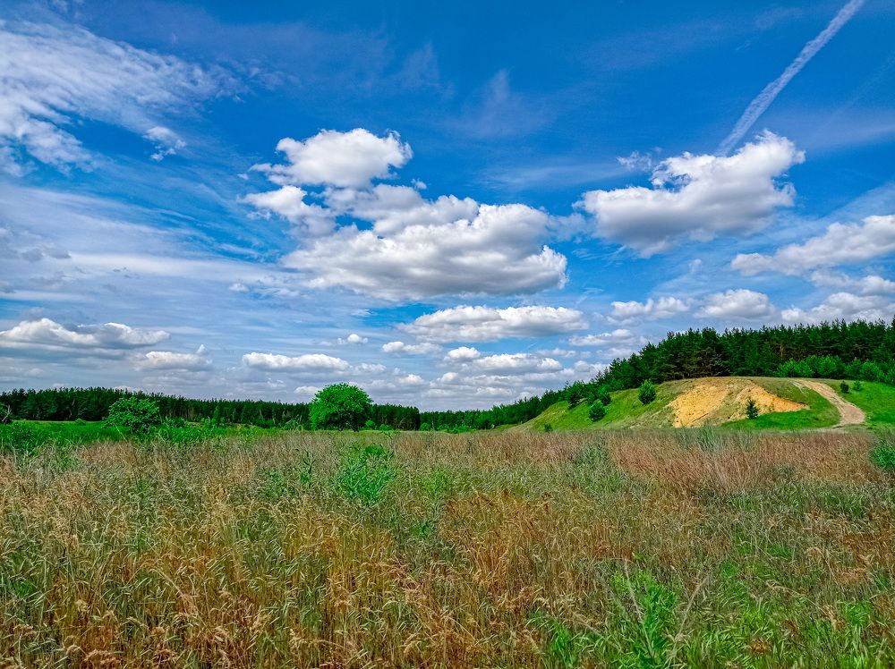 Фотография автора Вадим Топычканов