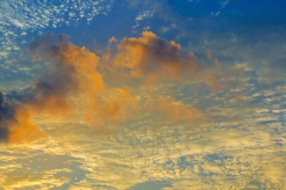 Photograph by Shreeharan Rajasingham