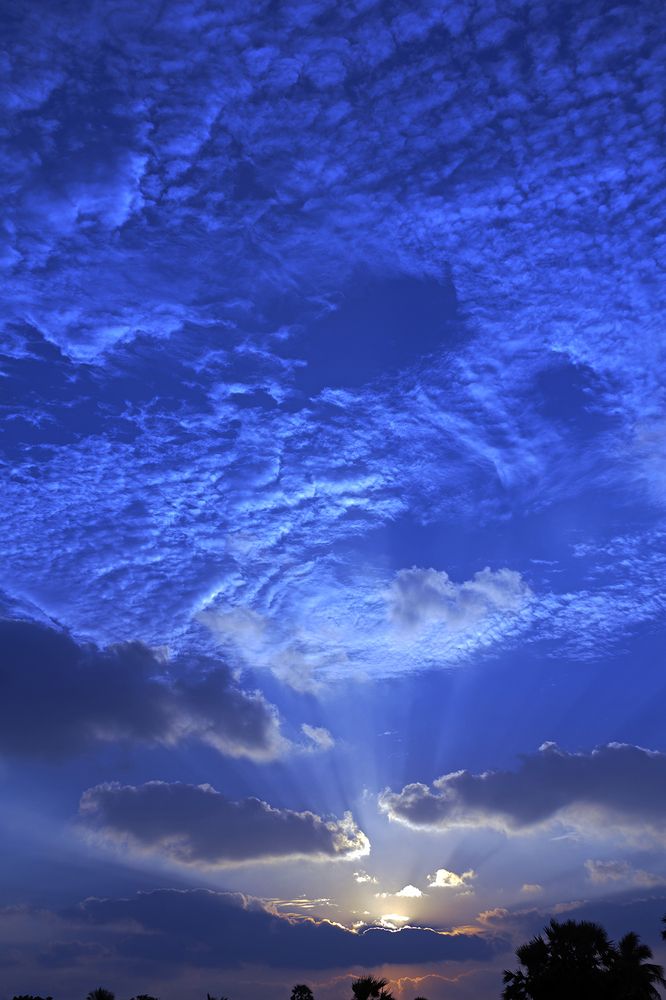 Photograph by Shreeharan Rajasingham