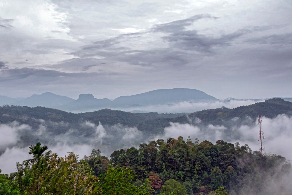 Photograph by Shreeharan Rajasingham