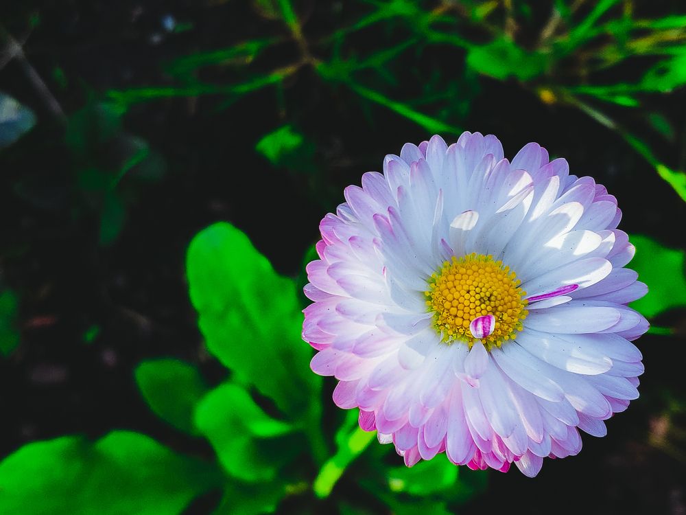 Photograph by Дмитрий Малышев