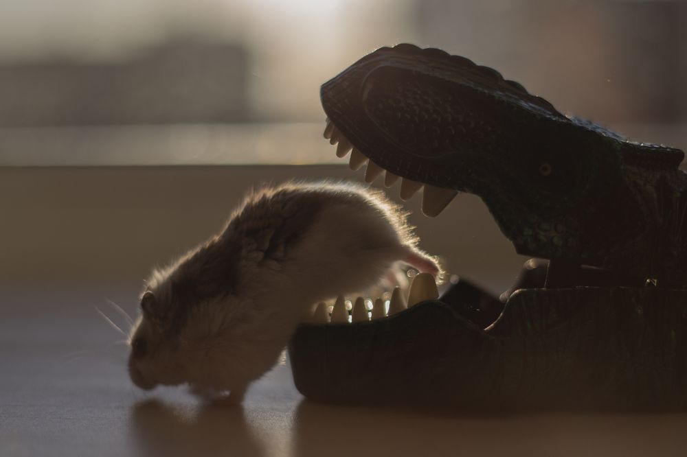 Photograph by Екатерина Кваша