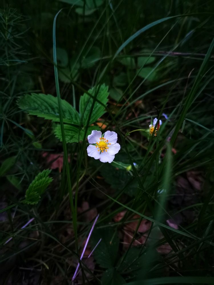 Photograph by Владимир Хатунцев