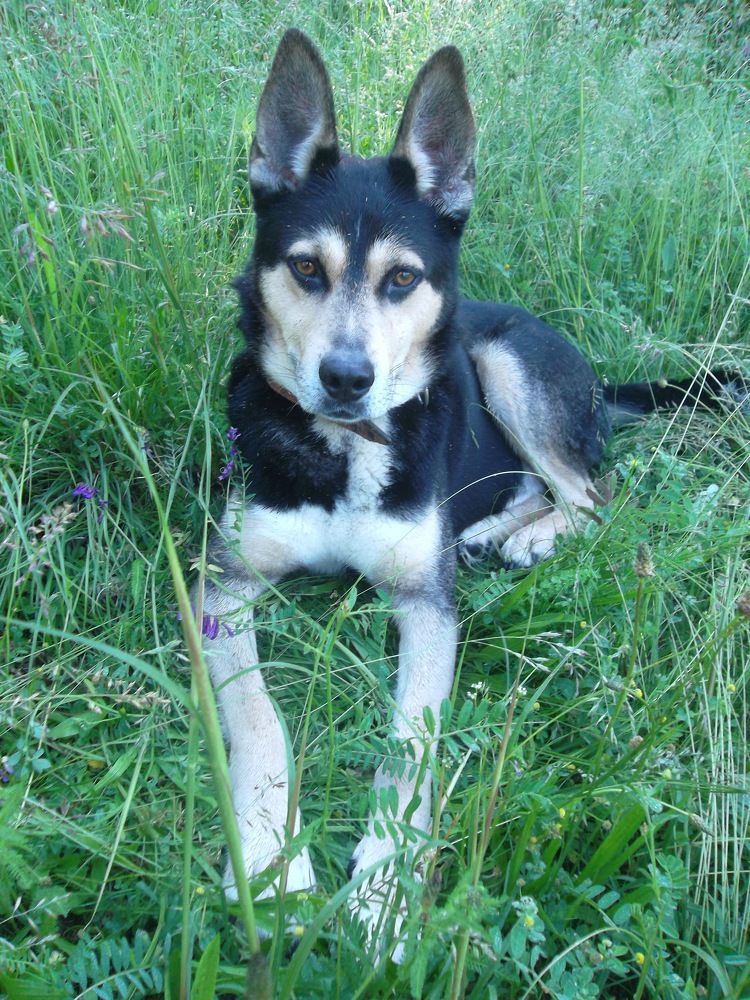 Photograph by Olga Vatkova