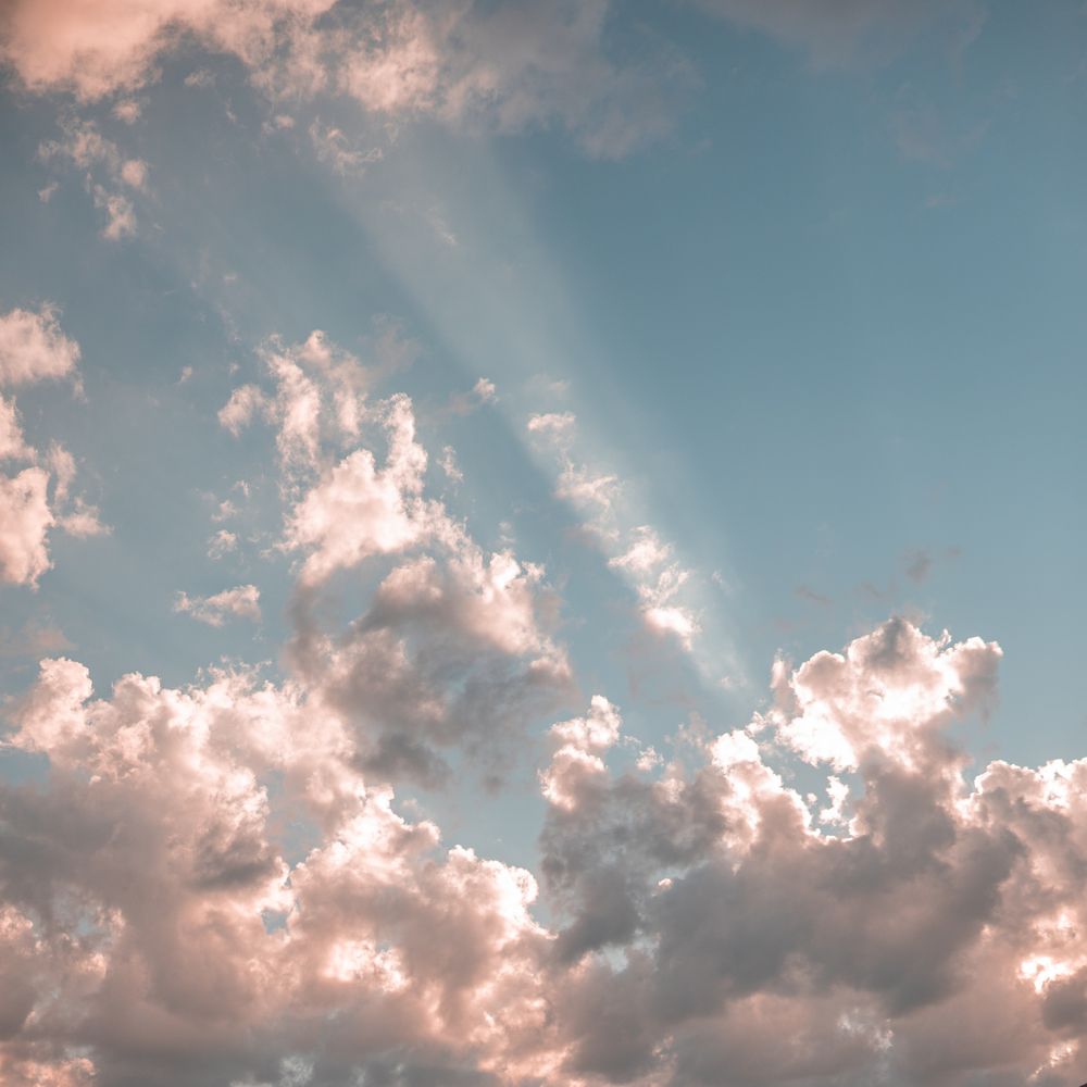 Photograph by Bogdan Lamanov