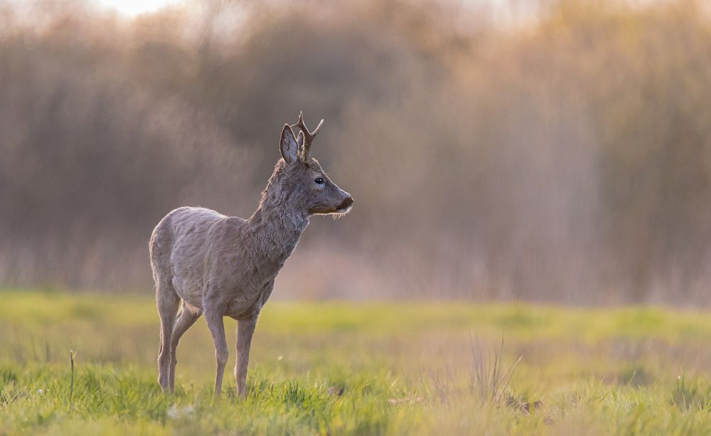 Photograph by Dawid Cichosz