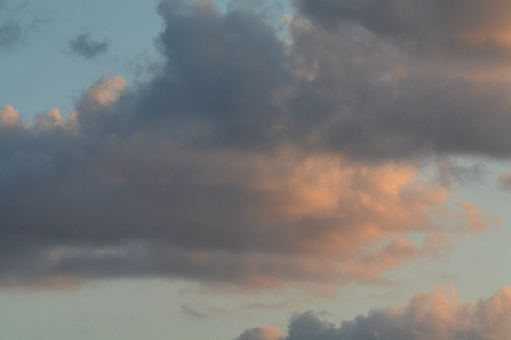 Фотография автора Виктория