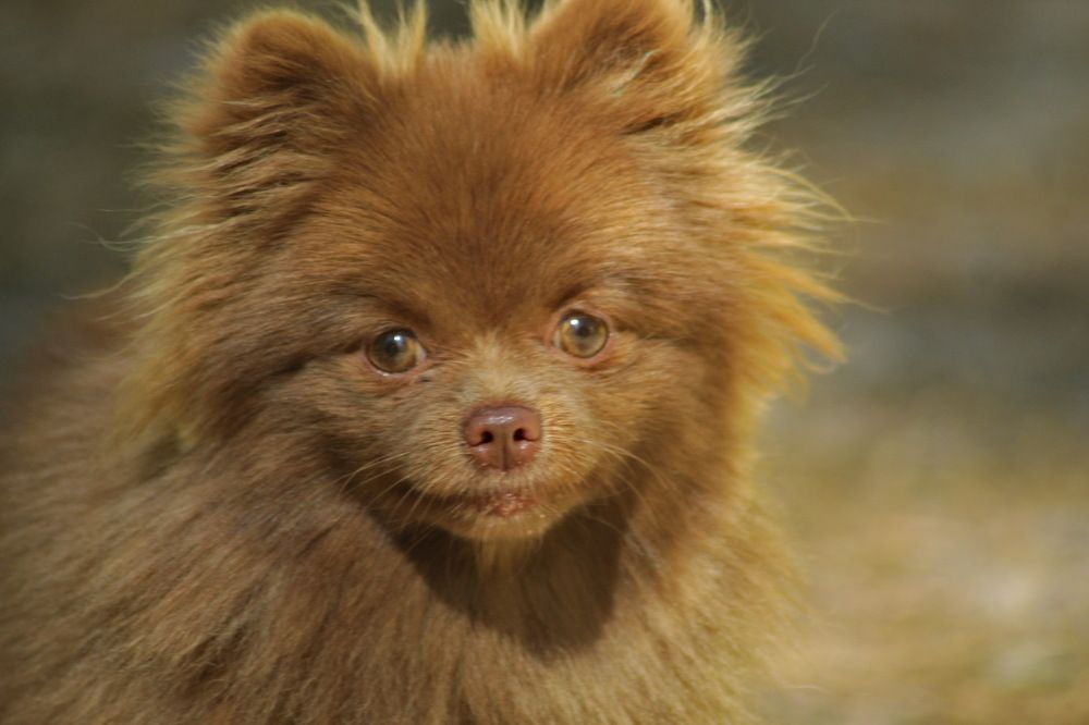 Photograph by Николай Николаевич Леухин