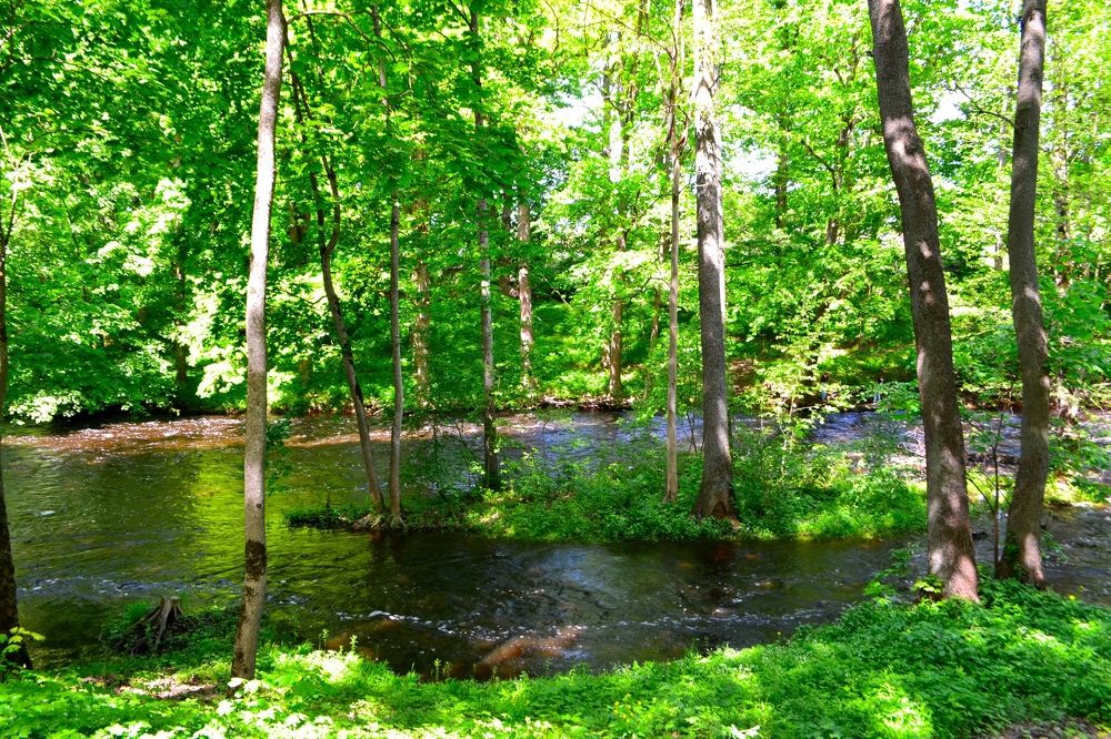 Photograph by Iljana Luksa