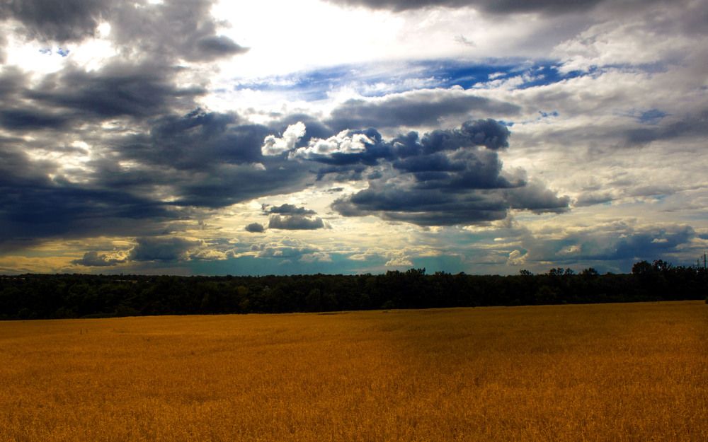 Фотография автора Вадим Кузнецов
