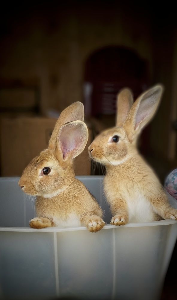 Photograph by Inna Kabanovich