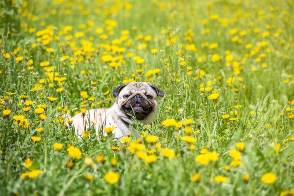 Photograph by Елена Невидимова