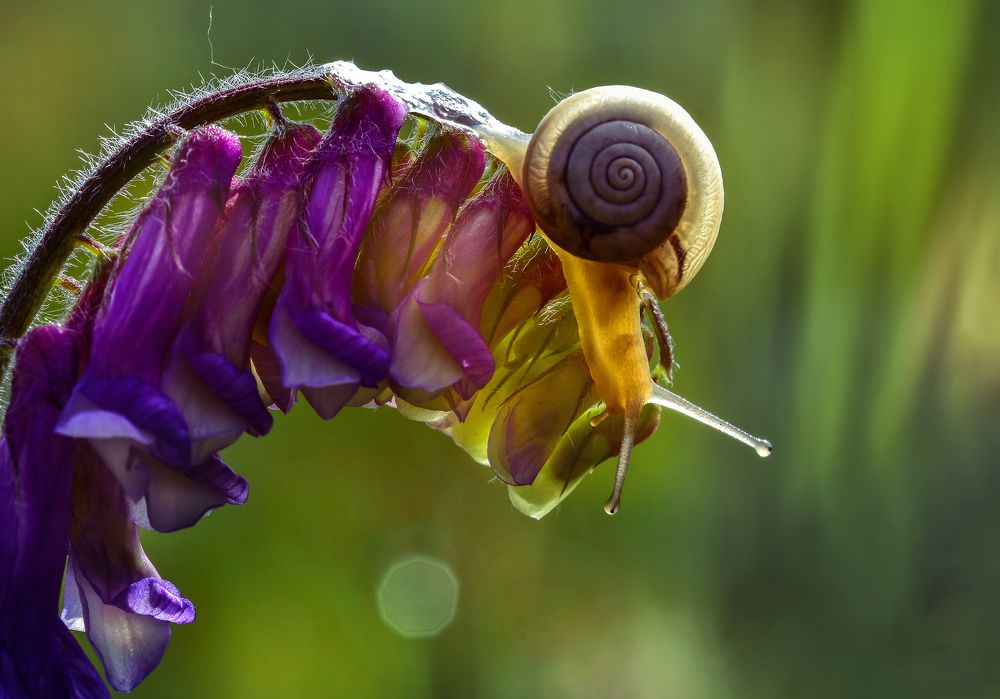 Photograph by Андрей Зимин