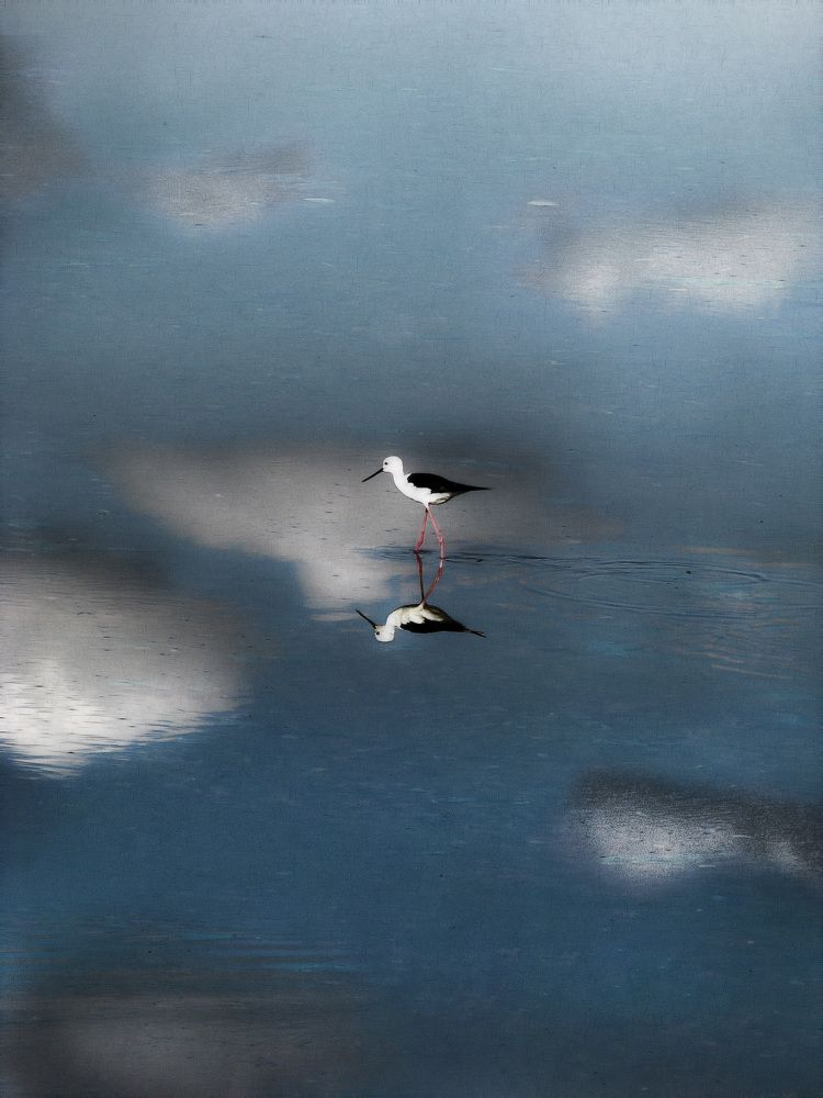 Photograph by Александр Стрельченко