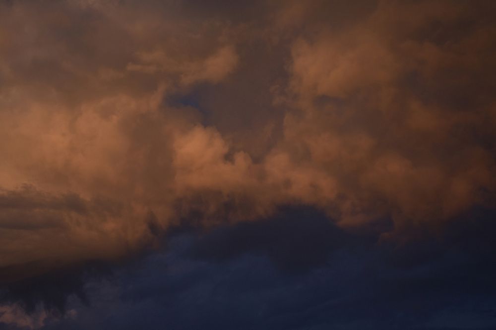 Photograph by Elvira