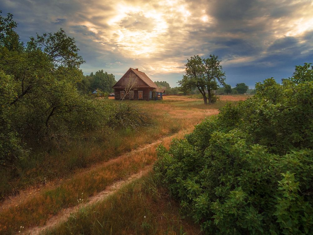 Photograph by Игорь Жданович