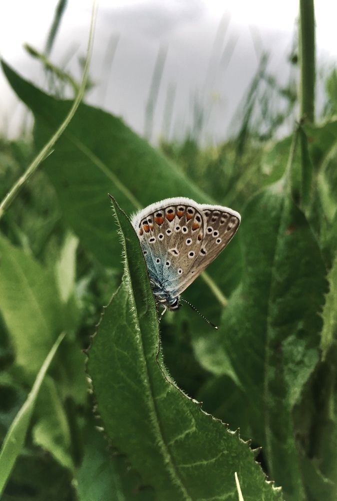 Photograph by Марина Платонова