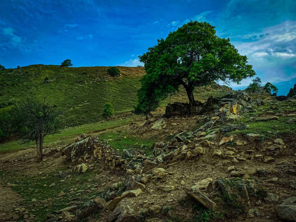 одиночество... спасение... жизнь